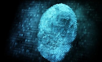 10-8 Investigative Services